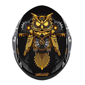 RIDEX POLARIS – STEAM PUNK BRASS (GLOSSY) - Image 2